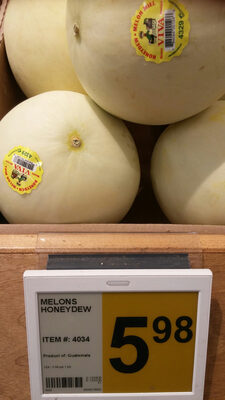 Honeydew Melon by N/A