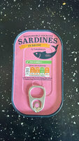 Sardines