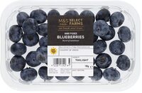 Hand Picked Blueberries