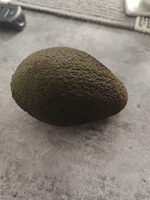 Avacado