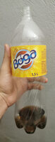 Boga cidre