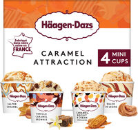 Caramel Attraction Mini Cups Ice Cream