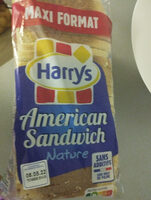 American sandwich nature