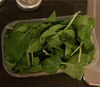 Spinach