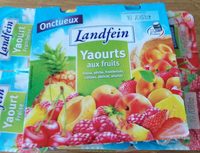 Yaourt aux fruits