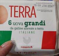 Uova grandi allevate a terra