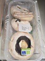 Large Flat Mushrooms