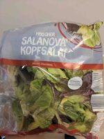 Salanova Kopfsalat (feiner Blattsalat)