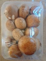 Heimat Deutsche Champignons Braun