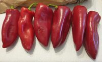Pimiento italiano rojo
