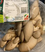 Funghi pleurotus