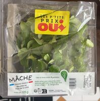 Polníček/lambs lettuce