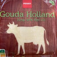 Gouda Holland Jung