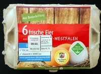 Eier