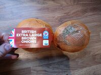 British extra large brown onions