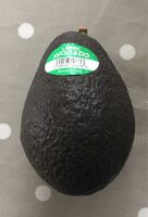 Large Avocado