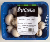 Pieczarka mini