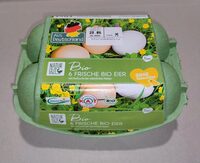 6 Frische Bio-Eier