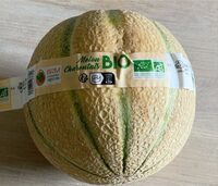 Melon charentais jaune bio
