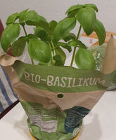 Bio Basilikum