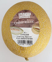 Galiamelone