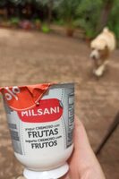 Yogur de frutas