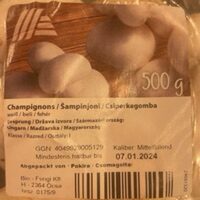 Champignons