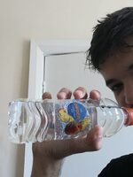 Still peach flavored spring water