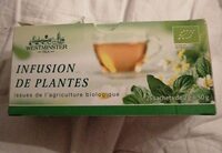 Infusion de plantes