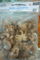 Baby Octopus Frozen