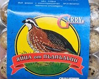 Яйца от пъдпъдъци