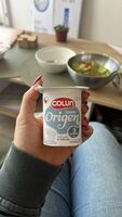 Yoghurt Origen