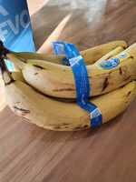 Banaan