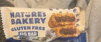 Gluten Free Blueberry Fig Bar