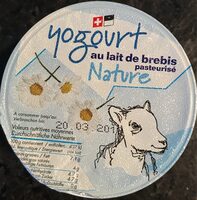 Yogurt au lait de brebis Nature