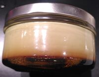 Crème caramel