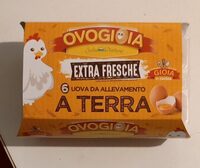 Uova da allevamento