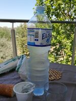 Fonte Elisa