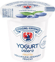 Yogurt intero - 125g - Gusto mirtillo nero