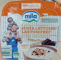 Yogurt Gusto + Gusto senza lattosio