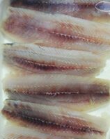Filete de sardina en aceite de girasol