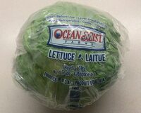 Iceberg lettuce