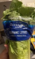 Romaine