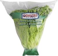 Green Leaf Lettuce