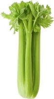 Celery