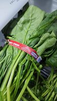 Spinach