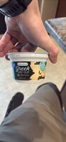 Vanilla Greek Nonfat Yogurt