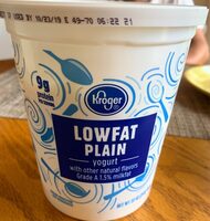 LOWFAT PLAIN yogurt