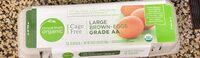 Large brown eggs