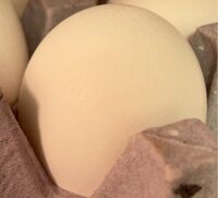 Grade Aa Medium Eggs